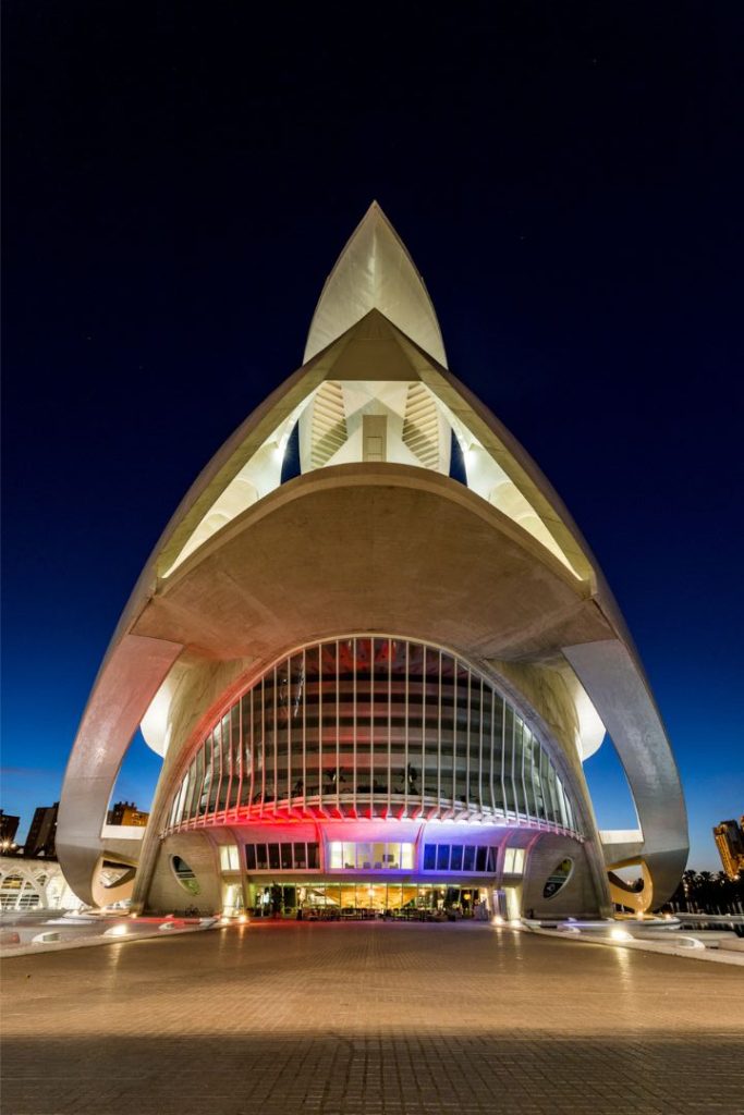 Ciudad de las artes y ciencias, visita guiada