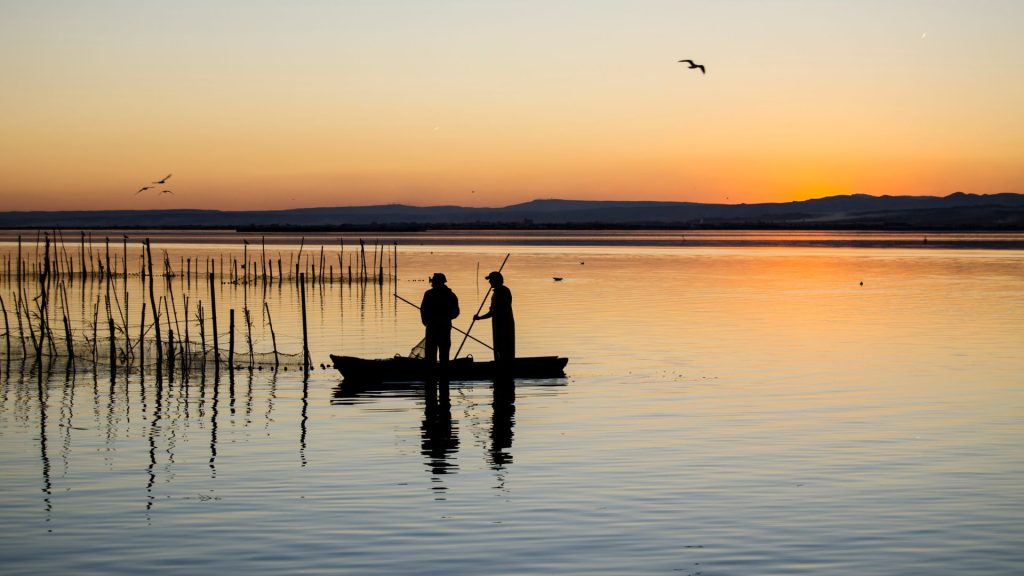 Barca en la albufera