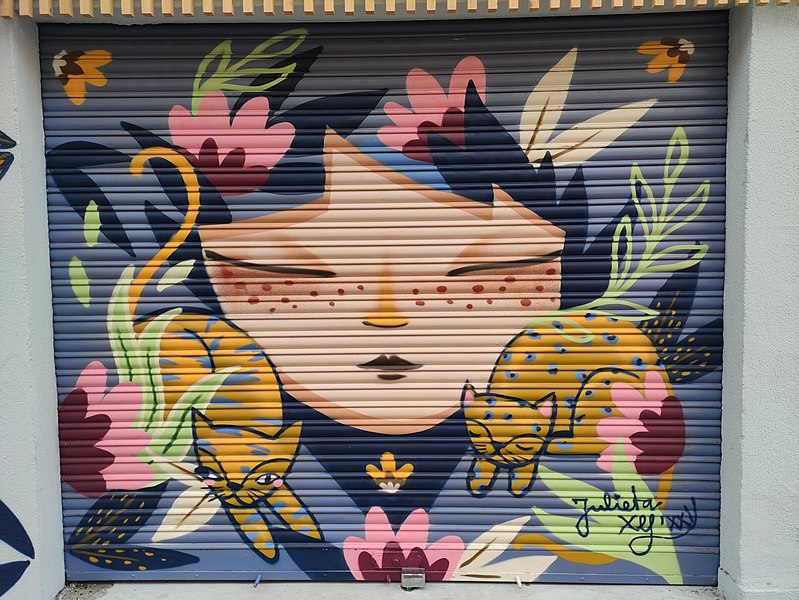 Arte urbano en valencia de Julieta XLF