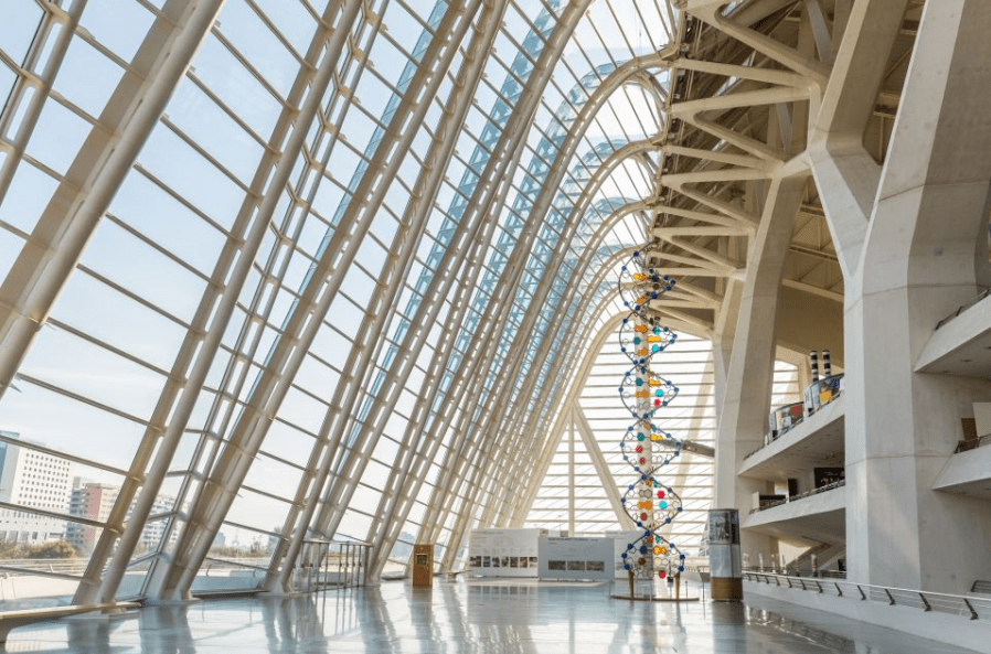 Planes en valencia con niños, museo principe felipe