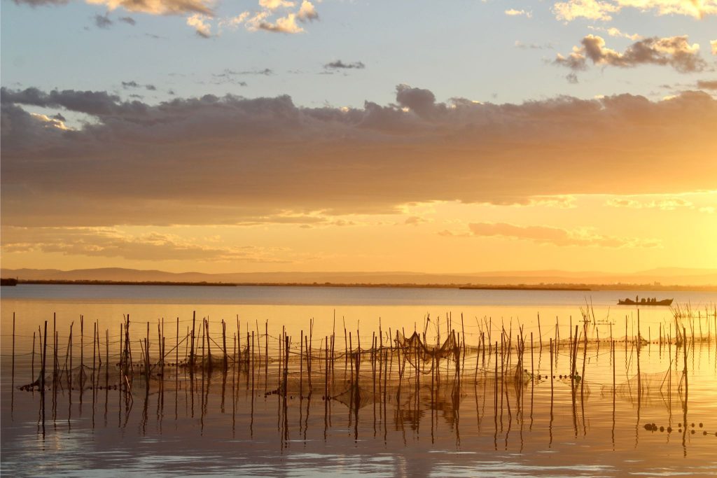 Albufera - Ecoturismo en Valencia