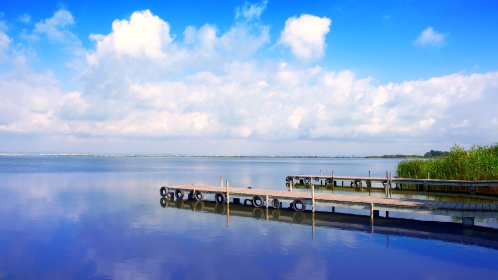 La albufera de valencia