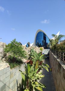 Oceanografic en la ciudad de las artes y las ciencias