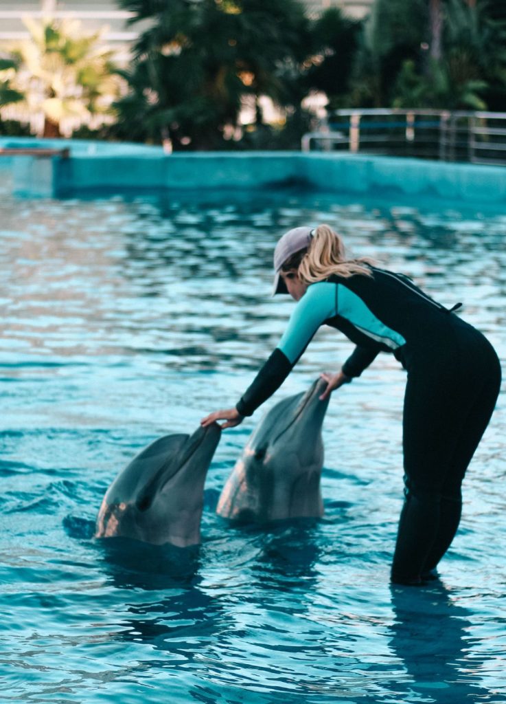 Delfines Oceanografic