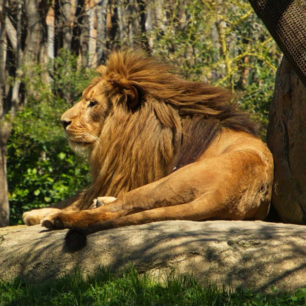 Bioparc Valencia