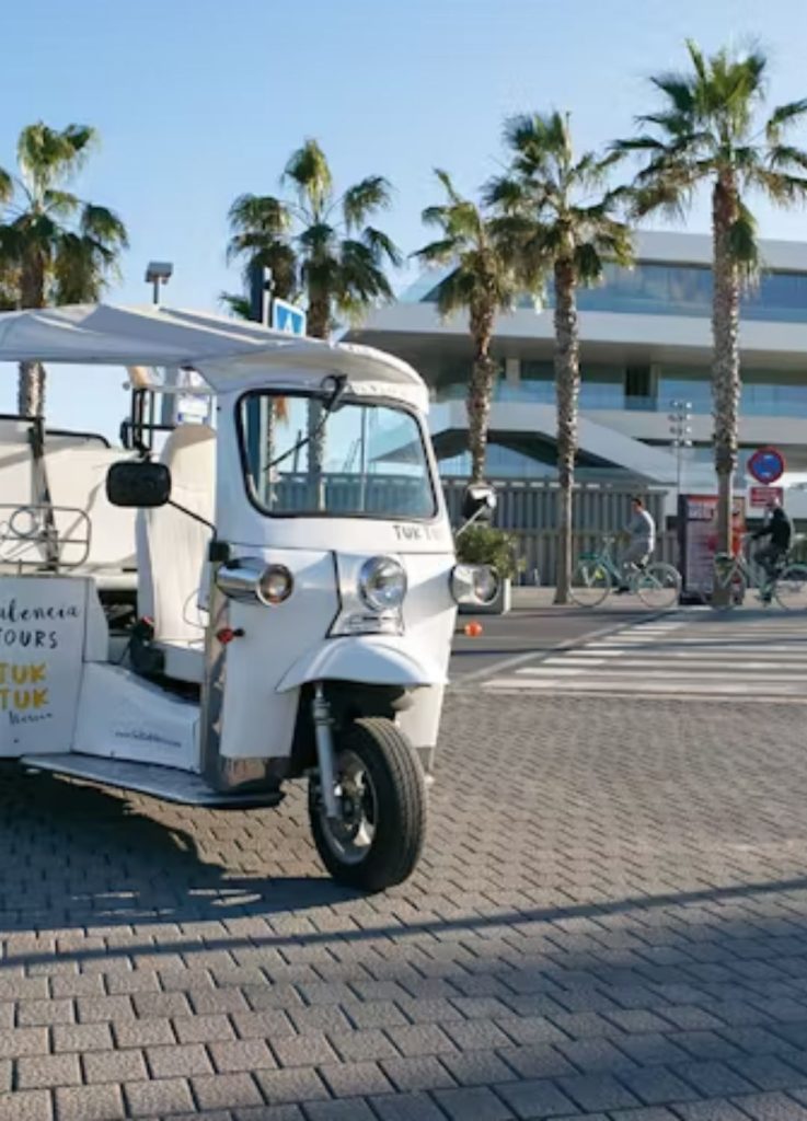 Tuk Tuk Bioparc Valencia