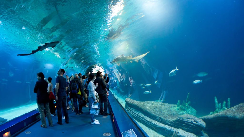 Ciudad de las Artes y las Ciencias oceanografic